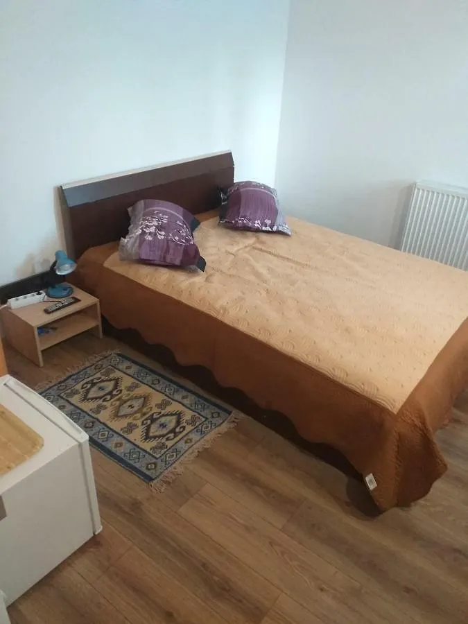 Homestay Vila Margareta Apartment Bucharest